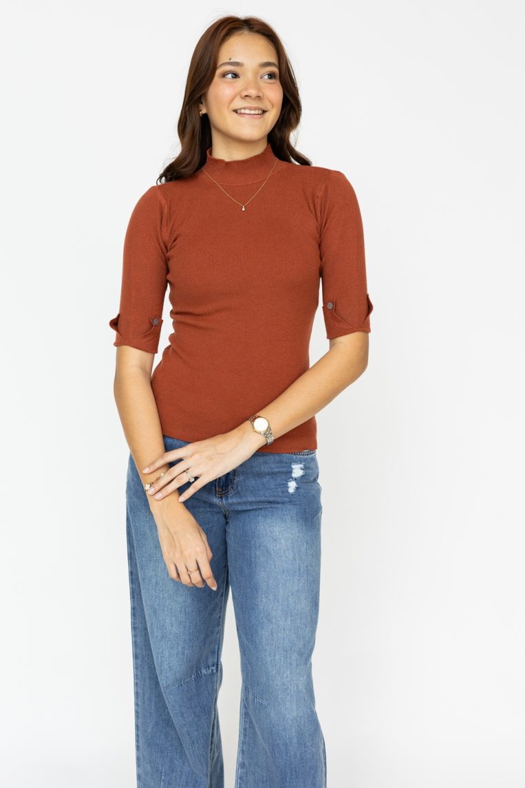 Button Sleeve High Neck Knit Top - Brown