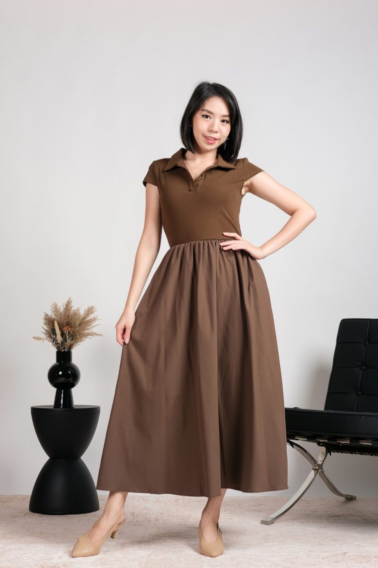 Collar Pocket Flare Dress - Brown - Image 4